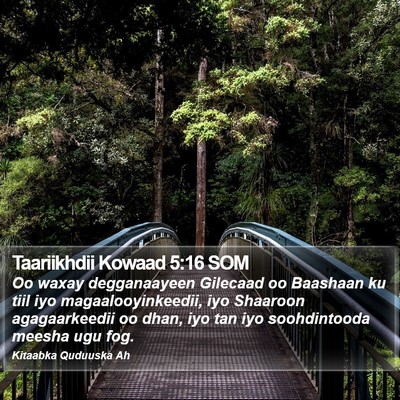 Taariikhdii Kowaad 5:16 SOM Bible Verse Image