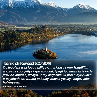 Taariikhdii Kowaad 5:20 SOM Bible Verse Image