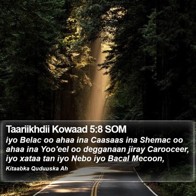 Taariikhdii Kowaad 5:8 SOM Bible Verse Image