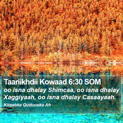 Taariikhdii Kowaad 6:30 SOM Bible Verse Image