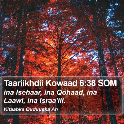 Taariikhdii Kowaad 6:38 SOM Bible Verse Image