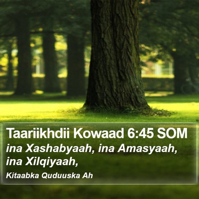 Taariikhdii Kowaad 6:45 SOM Bible Verse Image
