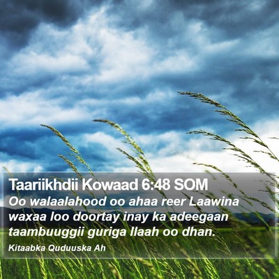 Taariikhdii Kowaad 6:48 SOM Bible Verse Image