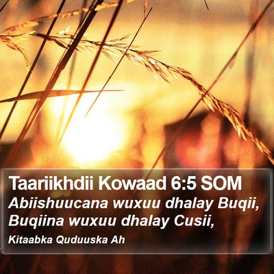 Taariikhdii Kowaad 6:5 SOM Bible Verse Image