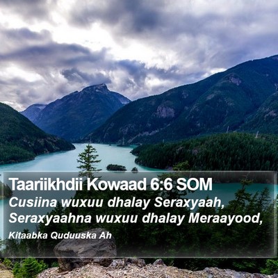 Taariikhdii Kowaad 6:6 SOM Bible Verse Image