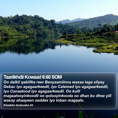 Taariikhdii Kowaad 6:60 SOM Bible Verse Image