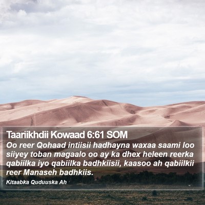 Taariikhdii Kowaad 6:61 SOM Bible Verse Image
