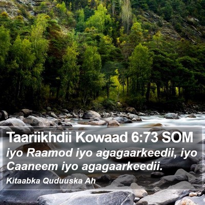 Taariikhdii Kowaad 6:73 SOM Bible Verse Image