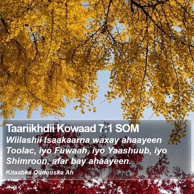 Taariikhdii Kowaad 7:1 SOM Bible Verse Image