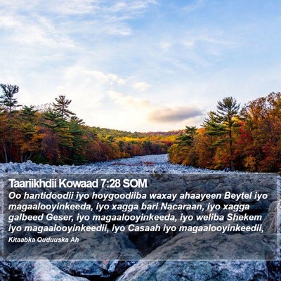 Taariikhdii Kowaad 7:28 SOM Bible Verse Image