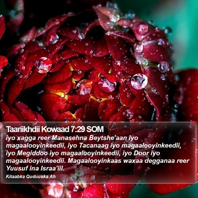 Taariikhdii Kowaad 7:29 SOM Bible Verse Image