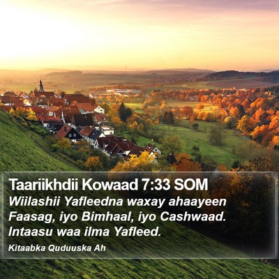 Taariikhdii Kowaad 7:33 SOM Bible Verse Image