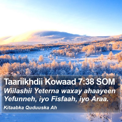 Taariikhdii Kowaad 7:38 SOM Bible Verse Image