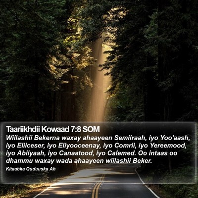 Taariikhdii Kowaad 7:8 SOM Bible Verse Image