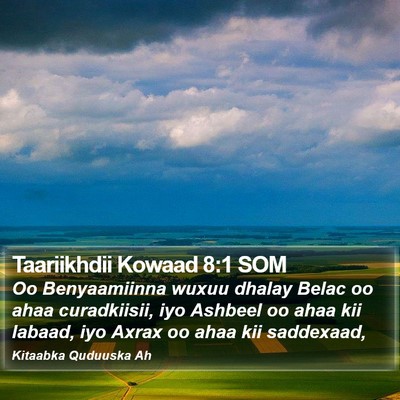 Taariikhdii Kowaad 8:1 SOM Bible Verse Image