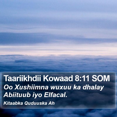 Taariikhdii Kowaad 8:11 SOM Bible Verse Image