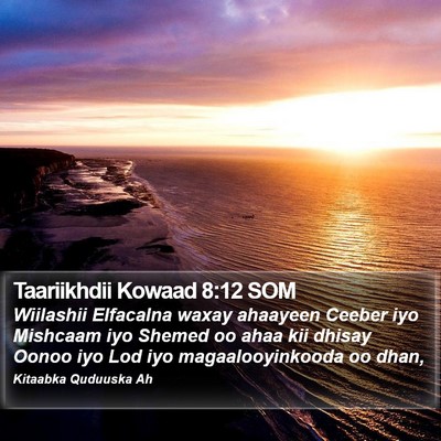 Taariikhdii Kowaad 8:12 SOM Bible Verse Image