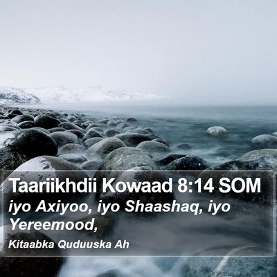 Taariikhdii Kowaad 8:14 SOM Bible Verse Image