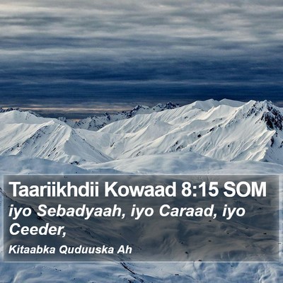 Taariikhdii Kowaad 8:15 SOM Bible Verse Image