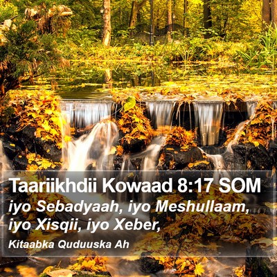 Taariikhdii Kowaad 8:17 SOM Bible Verse Image