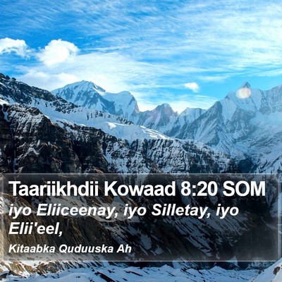 Taariikhdii Kowaad 8:20 SOM Bible Verse Image