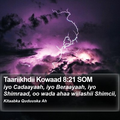 Taariikhdii Kowaad 8:21 SOM Bible Verse Image