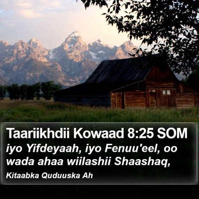 Taariikhdii Kowaad 8:25 SOM Bible Verse Image
