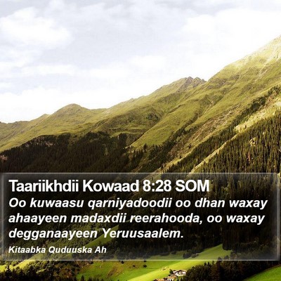 Taariikhdii Kowaad 8:28 SOM Bible Verse Image