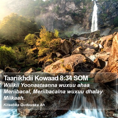 Taariikhdii Kowaad 8:34 SOM Bible Verse Image