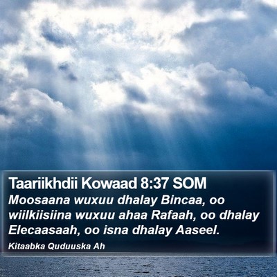 Taariikhdii Kowaad 8:37 SOM Bible Verse Image