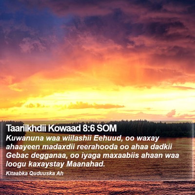Taariikhdii Kowaad 8:6 SOM Bible Verse Image