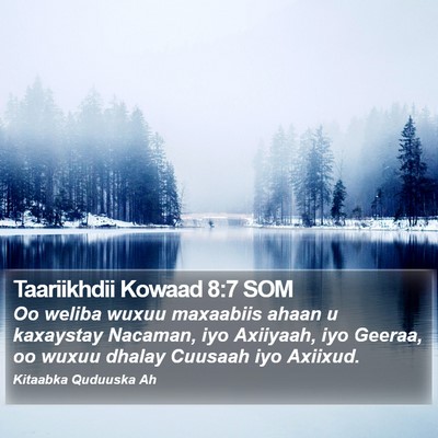Taariikhdii Kowaad 8:7 SOM Bible Verse Image