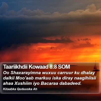 Taariikhdii Kowaad 8:8 SOM Bible Verse Image