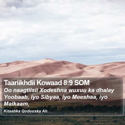 Taariikhdii Kowaad 8:9 SOM Bible Verse Image