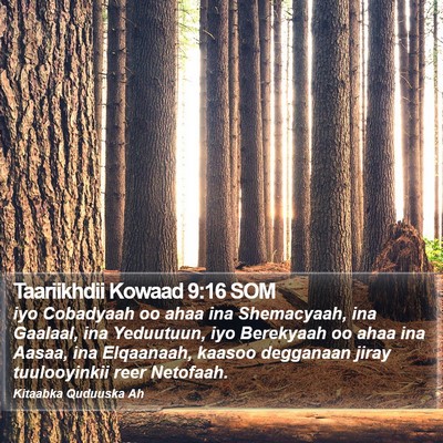 Taariikhdii Kowaad 9:16 SOM Bible Verse Image