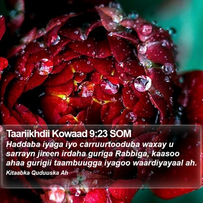 Taariikhdii Kowaad 9:23 SOM Bible Verse Image