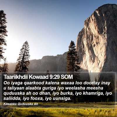 Taariikhdii Kowaad 9:29 SOM Bible Verse Image