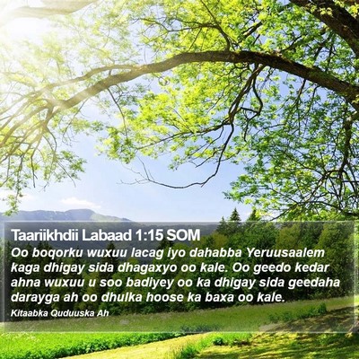 Taariikhdii Labaad 1:15 SOM Bible Verse Image