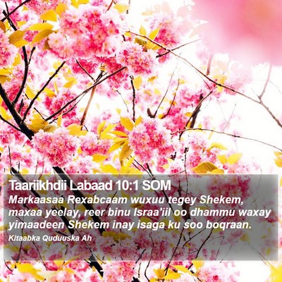 Taariikhdii Labaad 10:1 SOM Bible Verse Image
