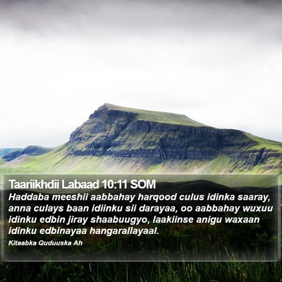 Taariikhdii Labaad 10:11 SOM Bible Verse Image