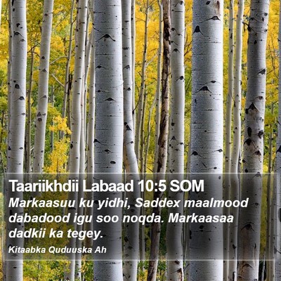 Taariikhdii Labaad 10:5 SOM Bible Verse Image