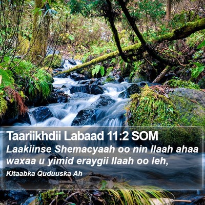 Taariikhdii Labaad 11:2 SOM Bible Verse Image