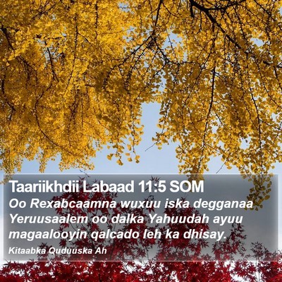 Taariikhdii Labaad 11:5 SOM Bible Verse Image