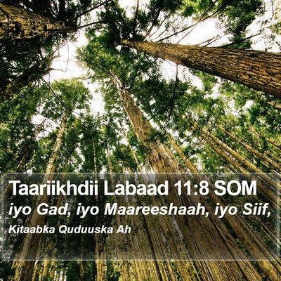 Taariikhdii Labaad 11:8 SOM Bible Verse Image