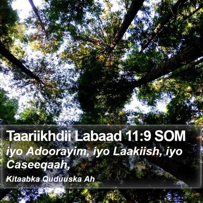 Taariikhdii Labaad 11:9 SOM Bible Verse Image