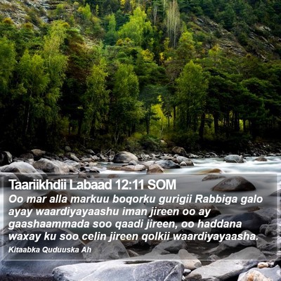 Taariikhdii Labaad 12:11 SOM Bible Verse Image