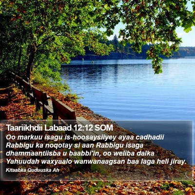 Taariikhdii Labaad 12:12 SOM Bible Verse Image