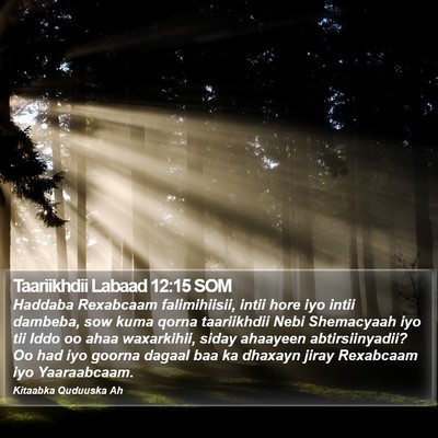 Taariikhdii Labaad 12:15 SOM Bible Verse Image