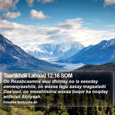 Taariikhdii Labaad 12:16 SOM Bible Verse Image