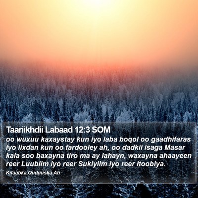 Taariikhdii Labaad 12:3 SOM Bible Verse Image